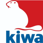 kiwa